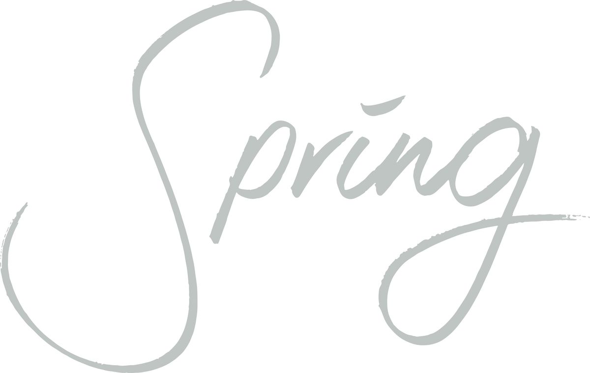 Spring Buyers Agency logo